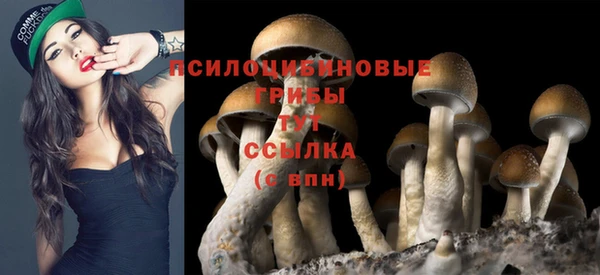 МДПВ Волосово