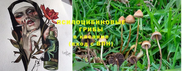 гидропоника Волоколамск