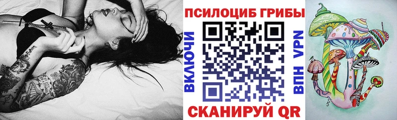 Купить закладки  Скопин  Псилоцибиновые грибы ЛСД 